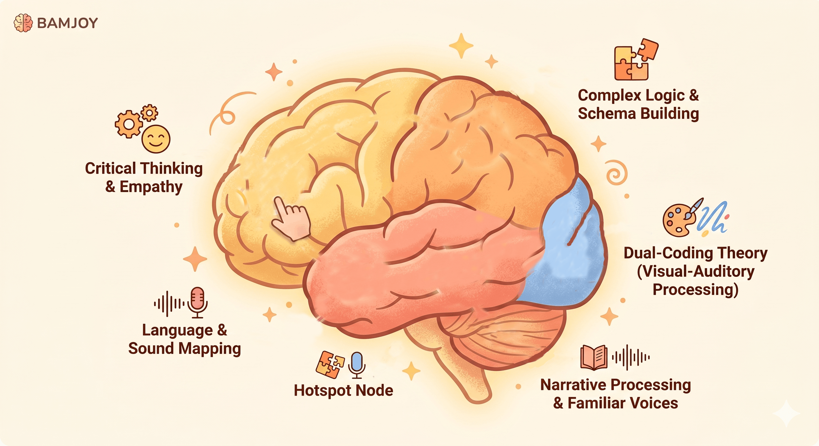 Illustrated brain showing five areas that stories and phonics help to exercise